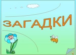 Загадки англійською мовою. Англійські загадки з відповідями